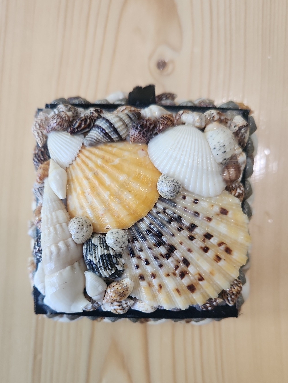 Vintage Sea Shell Trinket Box Black Velvet Lined Coastal Jewelry Keepsake Case - Picture 3 of 13